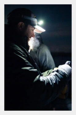 Nebo Mycro 500 Rechargable Head Torch -Outdoor Camping b48b390061 7272 c