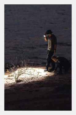 Nebo 12K Rechargeable Torch -Outdoor Camping b48c390045 7272 e