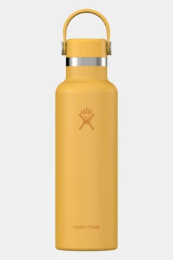 Hydro Flask 21oz Standard Mouth With Flex Cap Drinks Bottle